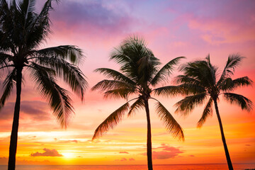 Beautiful tropical ocean sunset. Silhouettes of palm trees background	