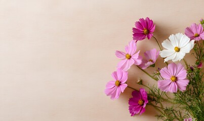 a wooden frame with pink and white cosmos flowers on the right side, placed against a light background. web banner with copy space in the bottom left corner