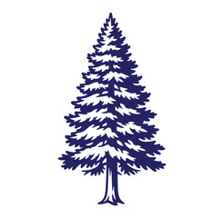 Fototapeta premium Vector illustration of a simple detailed fir tree isolated on white background