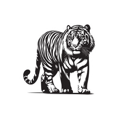 Obraz premium tiger walking forward