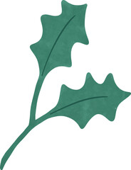 Hand-drawn Flat Green Holly Leaf Illustration