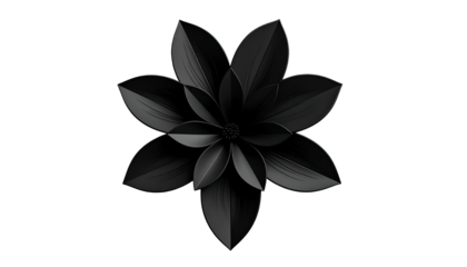 A dark, stylized flower with layered petals, centered on a black background (1)