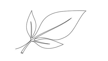 Minimalist leaf outline on white background botanical vector