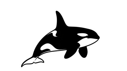 Orca whale illustration black and white vector graphic