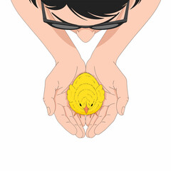 Hands Holding a Small Yellow Chick.