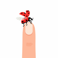 Ladybug on Human Finger Illustration.