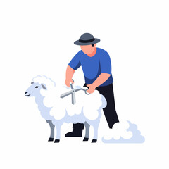 Man Grooming Sheep with Shears. © amirhamzaaa