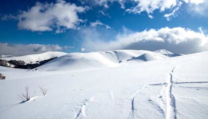Vast, snow-covered landscape with gentle rolling hills beneath a bright blue sky