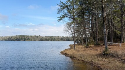 The lakefront at Maynor Creek Water Park, MS with its beautiful pine forest surrounding the whole lake.