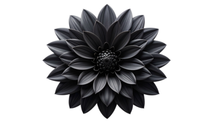 A perfectly centered, grayscale dahlia flower on a stark black background