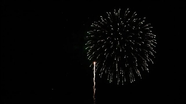 Vibrant fireworks exploding in the night sky with colorful bursts of light with celebration and explosions and festive and evening and entertainment