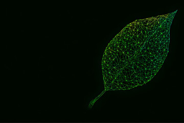 Digital leaf design made from green lines on dark background showcasing modern art style in nature representation