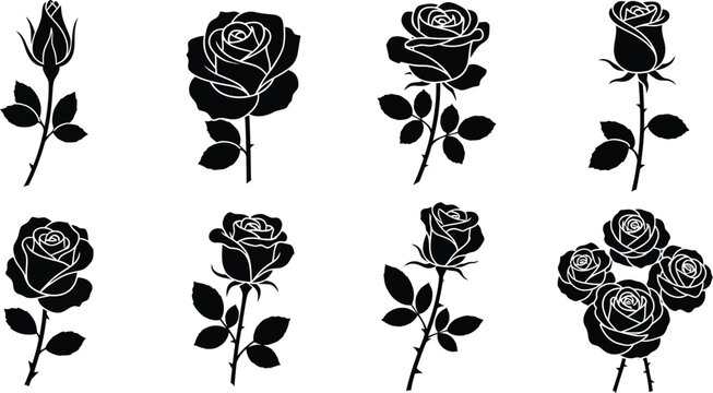 Elegant floral basket design with roses and leaves on transparent background silhouette
