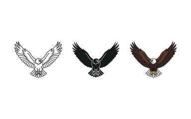 Obraz premium Three Eagles Flying with Wings Spread Wide in Different Colors