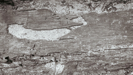 Concrete Wall Texture Background with Subtle Surface Details, Neutral Cement Pattern for Architectural and Design Use