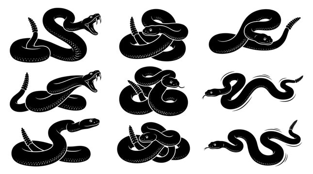 Black silhouette rattlesnake vector illustration set isolated on white background venomous viper snake attack pose logo design element tattoo stencil wild reptile animal glyph