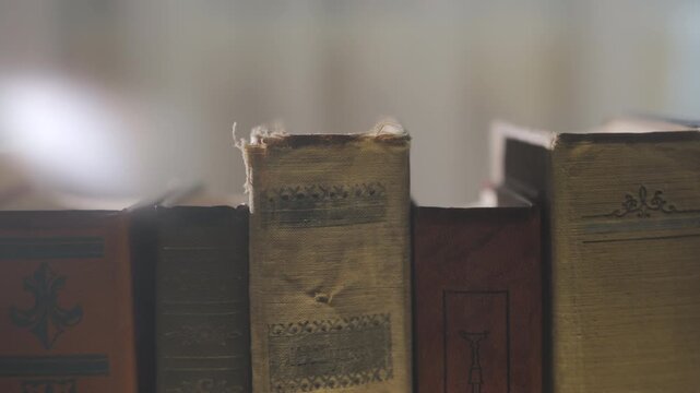Vintage clothbound volumes aligned on shelf creating nostalgic academic atmosphere, Soft illumination highlights textured spines suggesting heritage libraries preservation memory