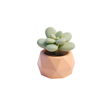 Succulent plant with rounded leaves in small geometric terracotta pot, perfect for minimalist home decor and cozy spaces