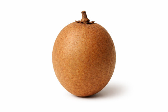 Whole sapodilla fruit with brown skin isolated on white background
