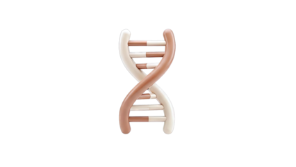 Stylized 3D DNA Double Helix Model