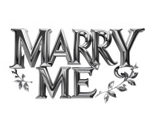 3D silver Marry Me text with a luxury jewelry look,white background.