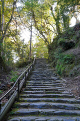 Obraz premium 京都高雄神護寺の参道の石段