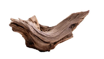 Weathered driftwood. Jagged edges, deep texture. Isolated