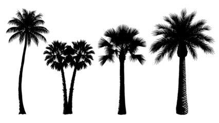 Silhouette of Five Palm Trees Against Black Background 1