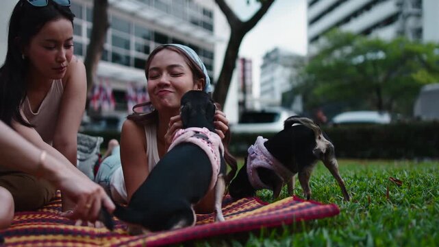 Asian women friends playing with dogs at city park