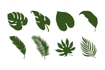 Tropical leaves, Jungle leaves, Botanical leaves, Palm leaves, Exotic foliage icon design collection with silhouette style for education, nature, summer, ecology, wellness. Vector illustration