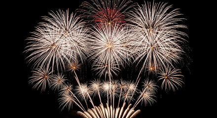 Spectacular burst of white fireworks against a dark night sky