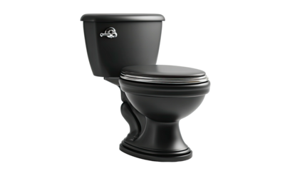 Elegant matte black toilet with silver trim, classic design, isolated view