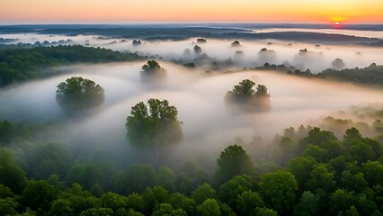 Ethereal morning fog over lush green forest during sunrise landscape.