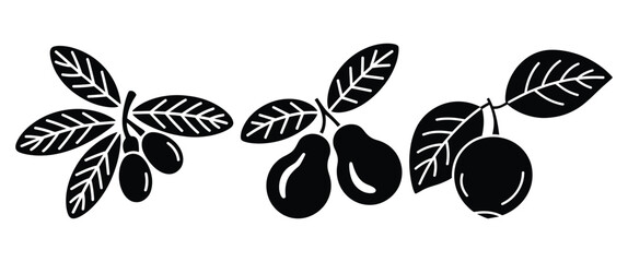 Black silhouette vector icons of exotic fruits and leaves for botanical design templates.