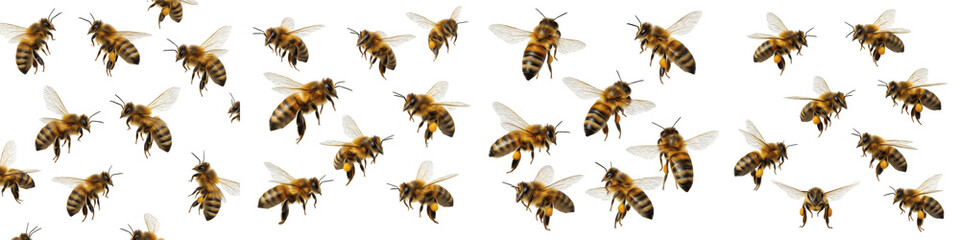 Flying Honey Bees Collection Isolated on White Background © Druvh