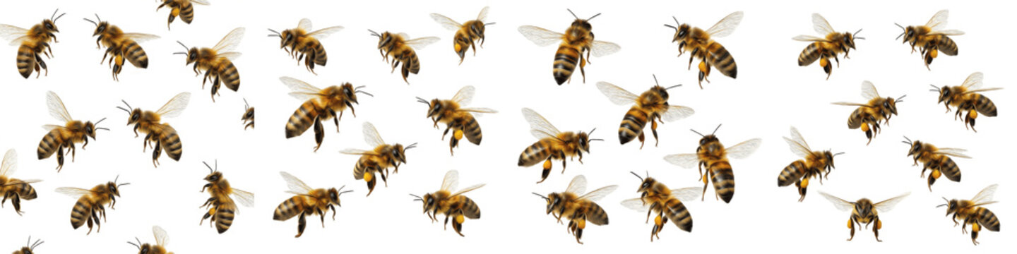 Flying Honey Bees Collection Isolated on White Background