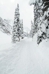 Obraz premium Snowy lakeside landscape in Lake Louise, Canada