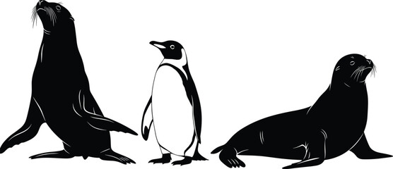 Set of vector silhouettes of sea lions and penguin standing together, isolated on white background, for arctic wildlife and zoo animal design. © MdShahadot