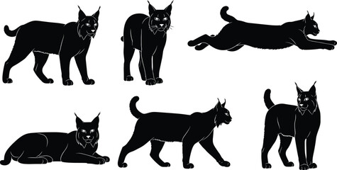 Set of wild Eurasian lynx or bobcat silhouettes in various standing, running, and resting poses, forest predator animal icons vector illustration collection © MdShahadot