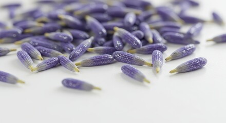 Close-up of Vibrant Lavender Florets on White Surface Showcasing Their Unique Texture and Color