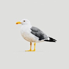 Fototapeta premium A Seagull Stands On A Sandy Beach During The Day