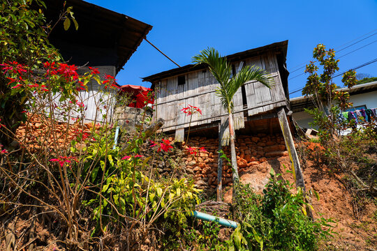 Traditional Hmong wooden house on stilts surrounded by red flowers in Doi Pui Village nestled in the lush mountains of Chiang Mai, Northern Thailand