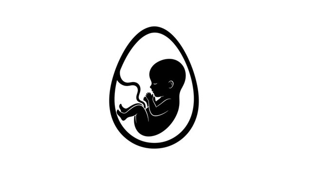 A symbolic black and white silhouette illustrating a human fetus curled within an egg-shaped outline, representing early stages of development or life.