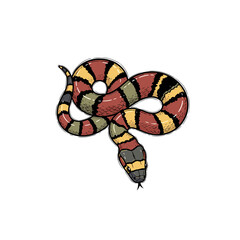 Obraz premium Coral snake illustration on a transparent background 
