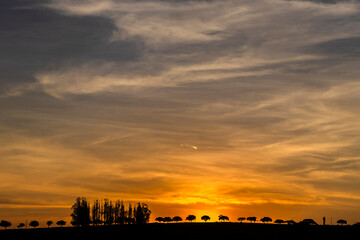 A vibrant sunset with a blue and orange gradient sky. The silhouette of trees on the horizon creates a serene and beautiful rural landscape scene.