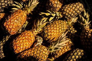 Pile of ripe pineapples under strong sunlight, showing texture, color and abundance, ideal to illustrate tropical agriculture, healthy eating and food supply chains.