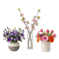 Fototapeta premium Three beautiful flower arrangements in vases on transparent background