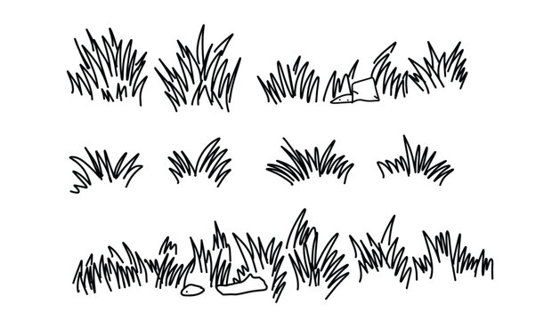 Black grass silhouettes. hand drawn lawn tufts. set of doodle grass. hand drawn grass outlines. garden patches. vector illustration