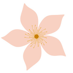 pink flower isolated on white