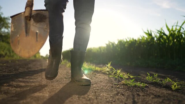 Walking with shovel and boot along dirt road by crop field as farmer dog follows under low sun, boot and shovel cast long shadow on soil, walking pace steady, dirt dust rising near crop row.